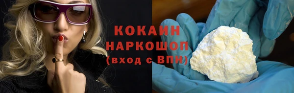 гидра Кулебаки